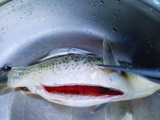 3、#咸味#秋季补钙佳品#鲫鱼豆腐汤,用食品剪刀剪掉鱼鳃。