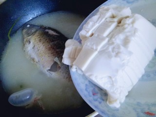 9、#咸味#秋季补钙佳品#鲫鱼豆腐汤,再加入切好的内酯豆腐大火煮约10分钟。