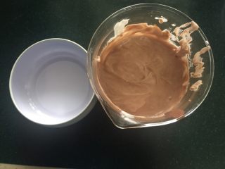 19、懒人冰淇淋,可可液体入模具