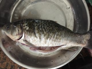1、鲫鱼瘦肉,鲫鱼洗干净来两刀