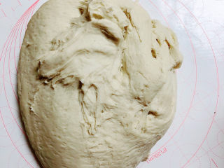 16、梅干菜肉包,面发好，揉去气体。