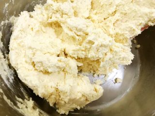 9、酥酥的香草曲奇小花,翻拌均匀，无干粉即可不要过度翻拌