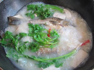 11、想补钙就喝鲫鱼豆腐汤,出锅前,撒上葱花、芫荽即可