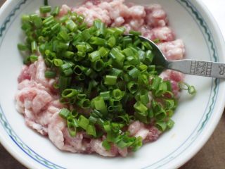 3、葱花肉末蒸蛋,然后加入葱花搅拌均匀