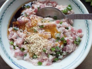 4、葱花肉末蒸蛋,再加入所有调味料搅拌均匀