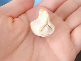 13、胡萝卜西兰花蛋黄猪肉小馄饨,最后两边对折粘合住,就完成啦