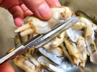 9、香辣老蛏,拿起一个老蛏，用剪刀剪掉一半的蛏壳，用手把蛏肉旁边的一条黑线撕掉，洗干净摆到盘里