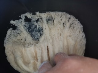 8、虾仁培根披萨,发酵好的面团，充满蜂窝组织