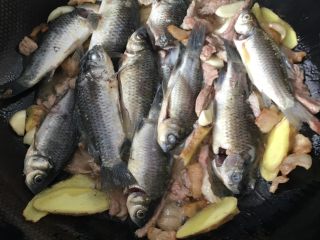 2、野生鲫鱼面#健康美颜餐#,锅烧热下油把瘦肉炒一下再放入蒜姜辣椒，再把鲫鱼放入锅中两面煎炸一下