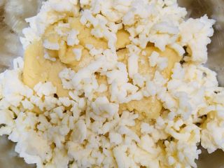 13、咸香芝士曲奇,倒入芝士碎。