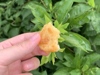 25、咸香芝士曲奇,芝士味倒是不错。