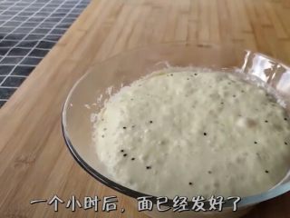 12、懒人版家常发面饼,一小时后面已经发酵好了