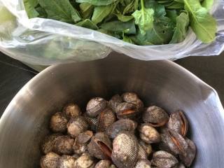 1、毛蛤肉拌菠菜,准备食材，菠菜，毛蛤蜊。