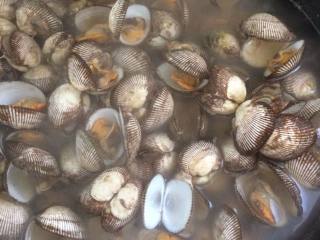 3、毛蛤肉拌菠菜,煮至毛蛤蜊开口即可关火捞出。