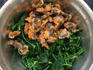 9、毛蛤肉拌菠菜,放入剥好的蛤蜊肉。