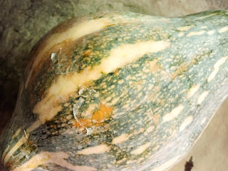 1、南瓜小圆子,准备好老南瓜