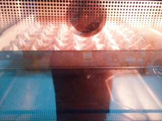 14、鲜草莓，蓝莓溶豆,挤好马上入烤箱，用热风烤上下一百度烤80分钟左右！这个时长根据个人烤箱实际而定！一般都要一个小时以上，如果烤了一个小时还有点软，就接着烤十到二十分钟！焖五分钟后再拿出来！