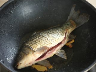 8、赤小豆鲫鱼豆腐汤-带带,加入鲫鱼小火煎至变色；