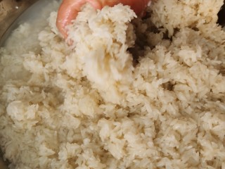 6、甜酒酿（妈妈版本零失败）,彻底放凉以后，一点温热都不行，把甜酒曲倒进去，再放入凉白开水，凉白开水刚好淹没糯米饭就好，然后把糯米饭捏散开，和水和甜酒曲混合均匀就好了。。。。老母亲习惯用手了，大家可以用任何工具????