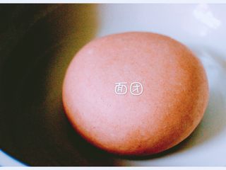 2、虾仁野菜盒子,和好的面团盖上盖子最少醒发半个小时左右……