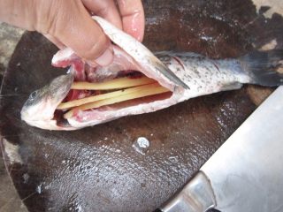 5、鲫鱼豆腐汤,在鱼肚中放入姜片,抹上料酒和盐。腌渍15分钟。