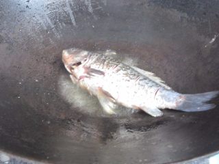 7、鲫鱼豆腐汤,放入腌好的鱼。