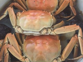 6、黑枣田蟹酒,大火15分钟后再把田蟹反过来，小火再焖10分钟即可