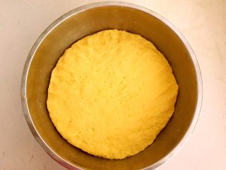 5、黄金菜团子,揉成光滑的面团，盖上保鲜膜饧发60分钟