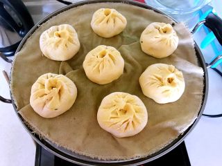 23、黄金菜团子,二次饧发好了就放入蒸锅里，盖上锅盖，水开后蒸8分钟，关火后焖4分钟即可