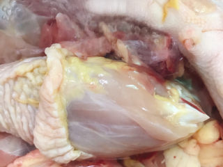 2、炖鸡汤,冲洗干净