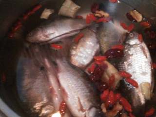 5、红枣枸杞鲫鱼汤,加水大火煮开