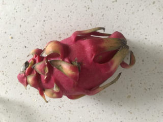 1、火龙果果冻,准备一个火龙果