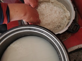 2、甜酒酿（妈妈版本零失败）,捞出糯米，放进蒸笼放进电饭锅都可以，只要能蒸熟它就好，我直接用的高压锅蒸，因为方便。????