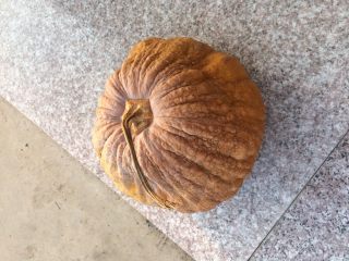 1、南瓜蛋黄泥（6个月+）,准备老南瓜一个