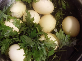 10、艾草煮蛋,慢慢煮