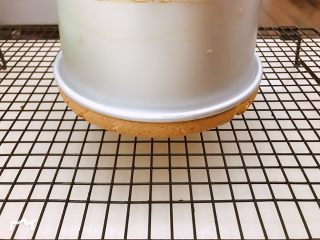 11、蜂蜜柚香戚风蛋糕,出炉震出热气，然后迅速倒扣放凉