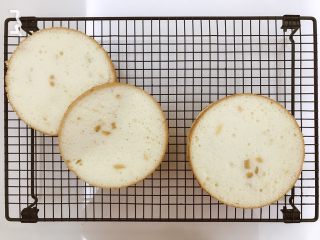 12、蜂蜜柚香戚风蛋糕,看看里面的组织