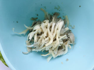 2、平菇炒鸡蛋,平菇洗净,撕成小条;