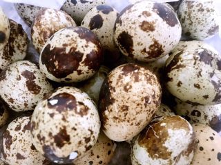 1、鲜活时蔬面,新鲜的鹌鹑蛋