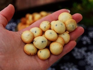 16、鸡蛋小饼干,图三