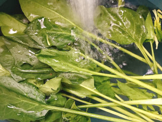 1、菠菜蛋卷,菠菜冲洗干净