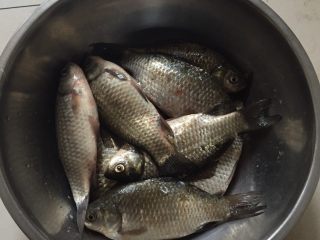 1、酥闷鲫鱼,早市买的小鲫鱼,尽量别买太大的,太大的鲫鱼不容易炖酥,我买的鲫鱼估计2两一条。