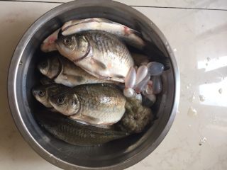 2、酥闷鲫鱼,把鱼收拾干净,一定要把鱼腹黑膜处理干净。