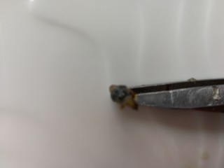 5、自制虾油,如图