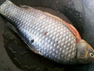 4、白鲫鱼豆腐汤,入鱼煎