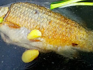 6、白鲫鱼豆腐汤,加入葱、姜、适量水，大火煮10分钟转小火煲30分钟