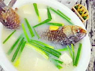 8、白鲫鱼豆腐汤,最后加盐和胡椒粉、鸡精白糖调味，撒上葱段，鲜美的白鲫鱼豆腐汤好了
