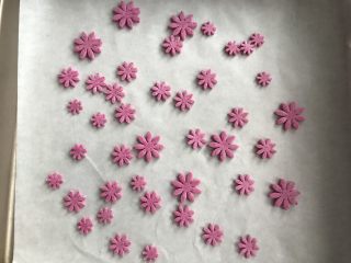 9、火龙果奶片,全出压好后放入烤箱90度烤或者放到通风处自然风干