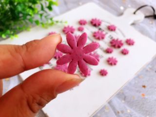 12、火龙果奶片,成品