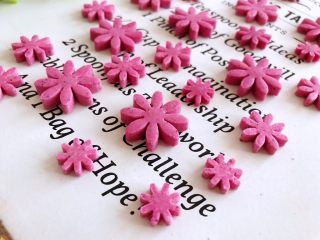 13、火龙果奶片,成品